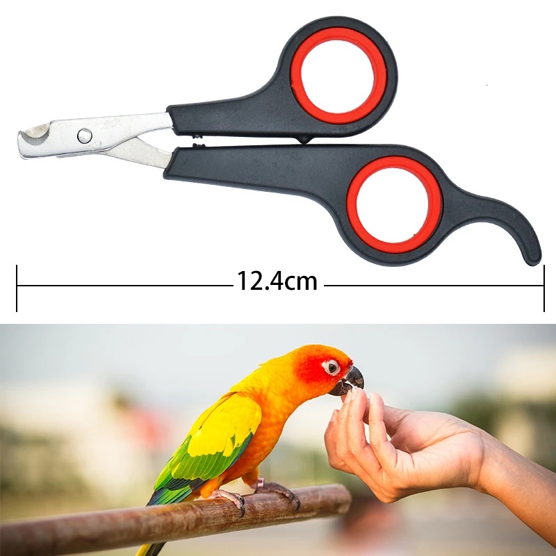 12cm Pet Parrot Nail Scissor D - Grooming Scissors recension och pris